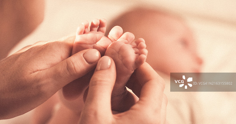 专业供卵代怀服务